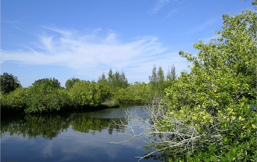 North Curry County, Oregon coast