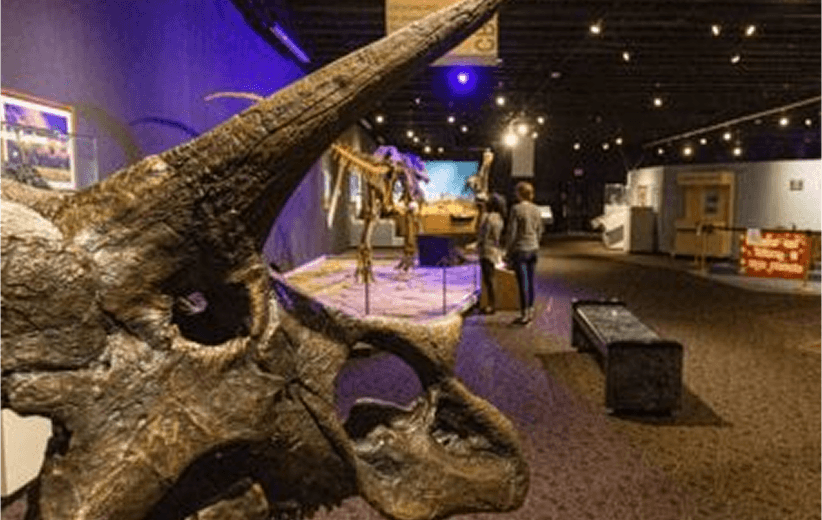 Mesalands Dinosaur Museum ~ Tucumcari New Mexico